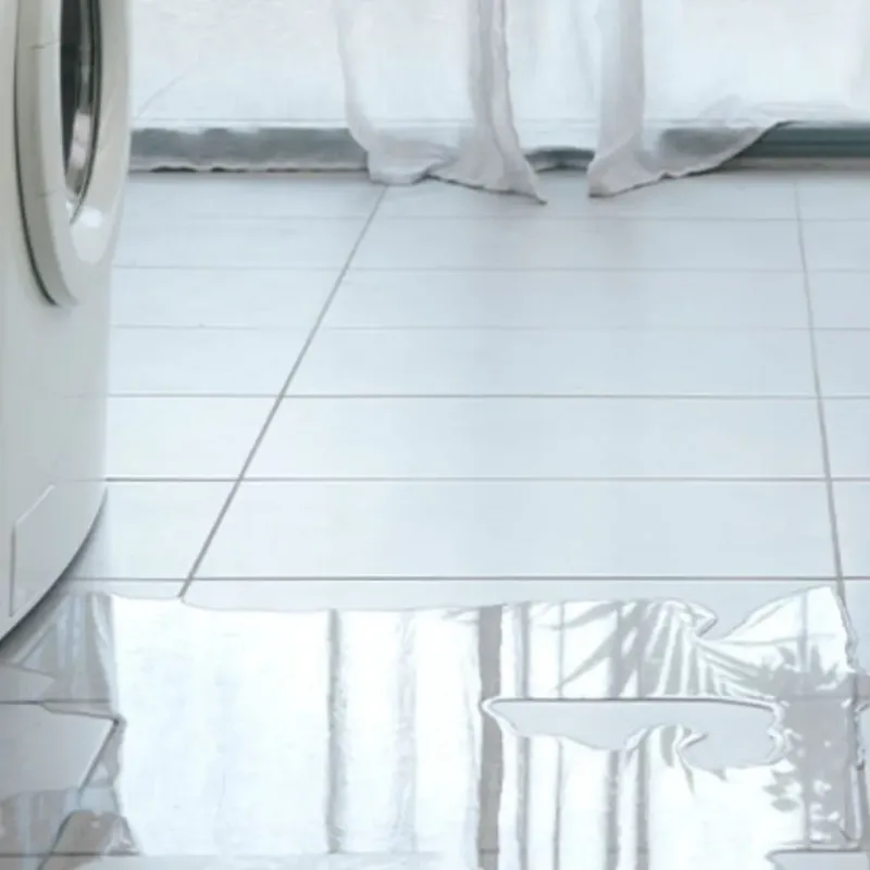 Appliance Leak Cleanup in Trinity, TX
