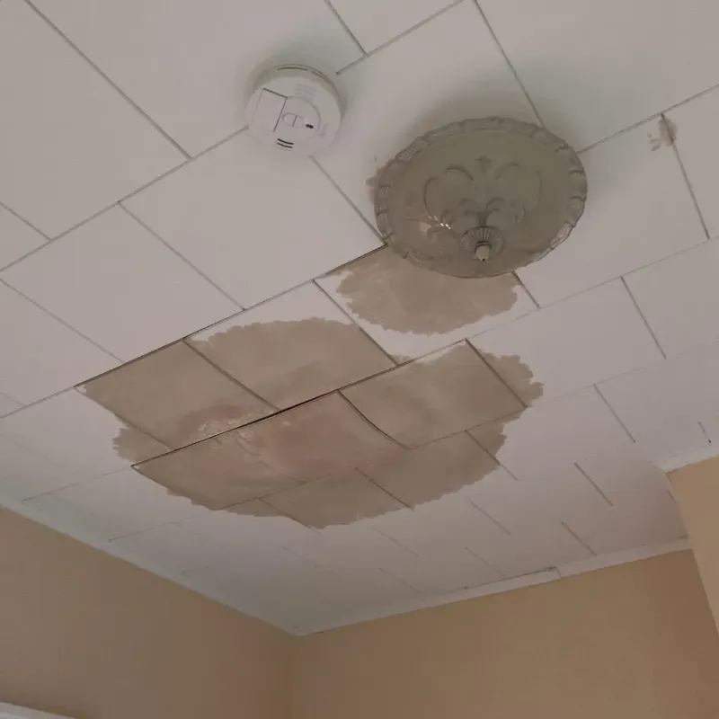 Ceiling Water Damage Repair in Trinity, TX
