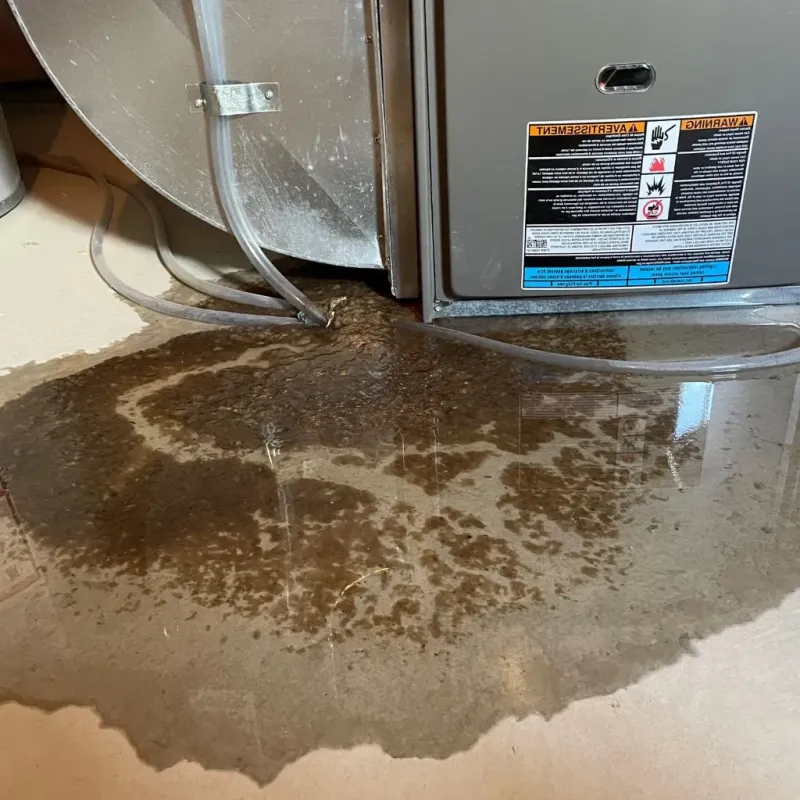 Pipe Burst and Leak Restoration in Trinity, TX