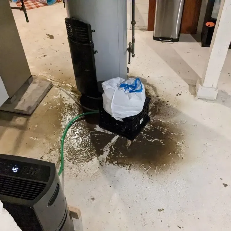 Sewage Backup Cleanup Service in Trinity, TX
